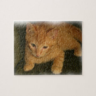 Kitty Puzzle