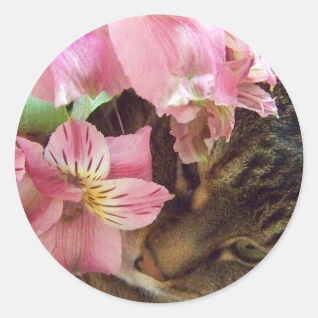 Kitty riechend Blume Aufkleber (Vorderseite)