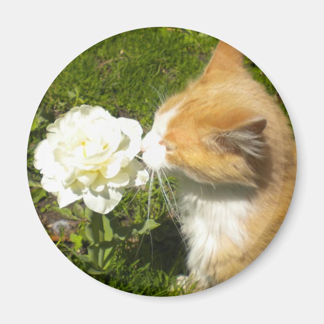 Kitty riecht die Blume Magnet (Vorne)