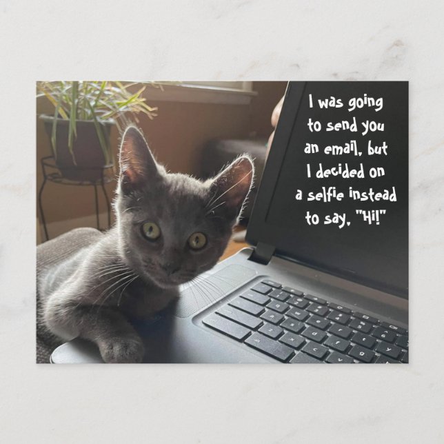 KITTY SELFIE HELLO POSTKARTE (Vorderseite)