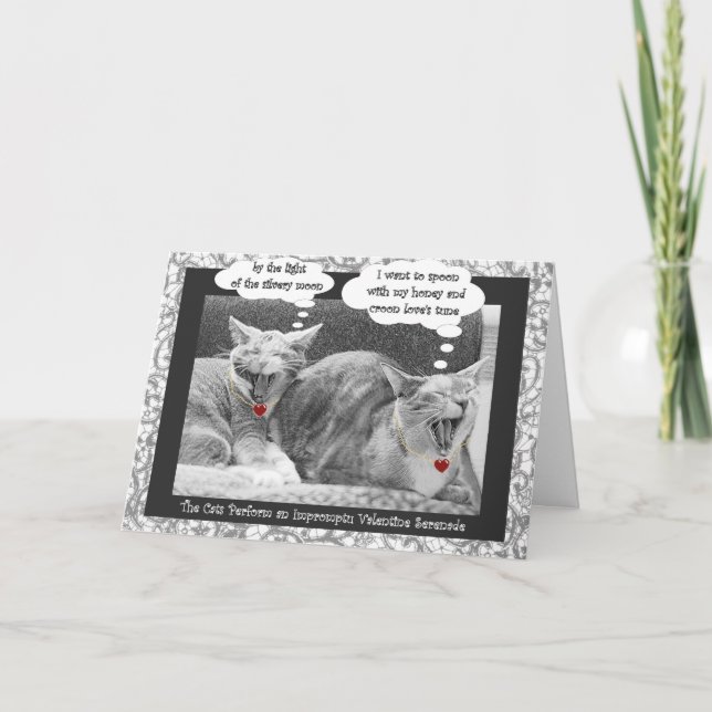 Kitty serenade zeitgenössisches Valentinstag Feiertagskarte (Vorderseite)