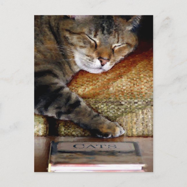 Kitty Sleep Book Postcard Postkarte (Vorderseite)