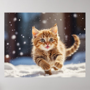 *~* Kitty Snow Race 5:4 Kitten Cat AP68 Poster