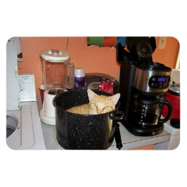 Kitty Stew Magnet