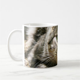 Kitty Tasse