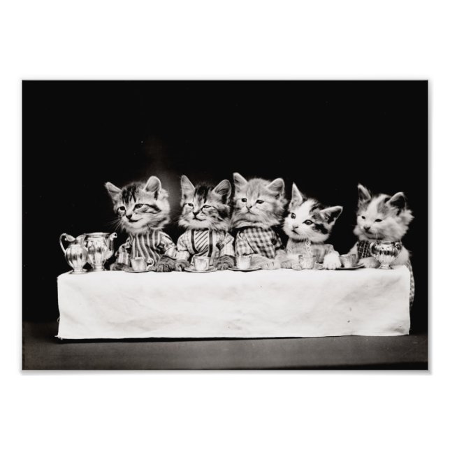 Kitty Tea Party Fotodruck (Vorne)