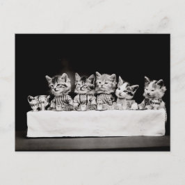 Kitty Tea Party Postkarte
