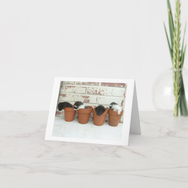 Kitty-Topf-Mitteilungskarten Karte (Vorderseite)