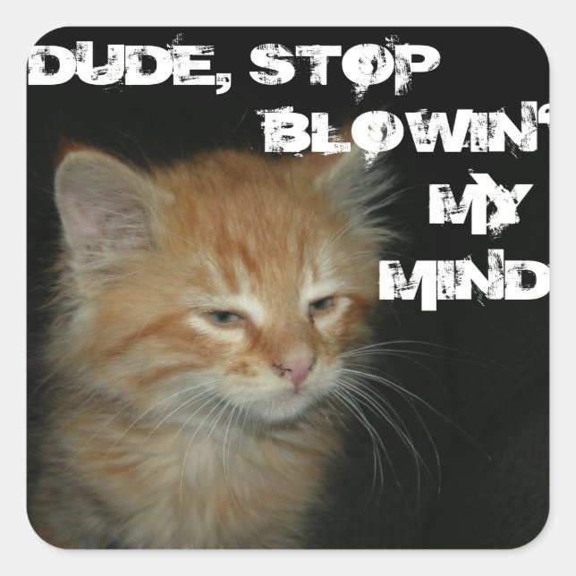 Kitty "TYP STOP BLOWIN' MY MIN" Aufkleber 20 Set (Vorderseite)