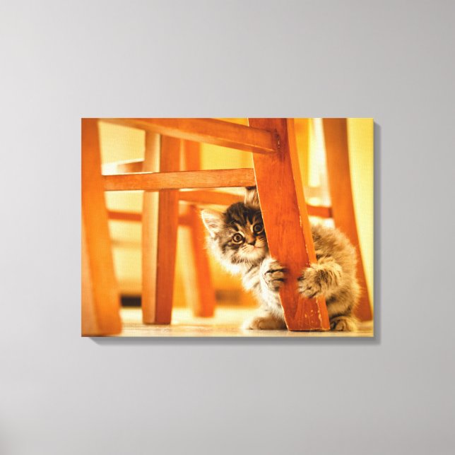 Kitty Under Fleisch Leinwanddruck (Vorderseite)