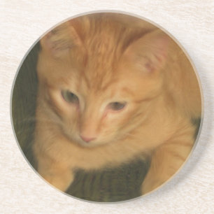 Kitty Untersetzer