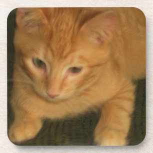Kitty Untersetzer - Set von 6