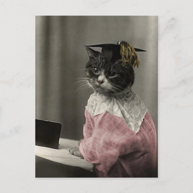 Kitty Valedictorian Postkarte (Vorderseite)