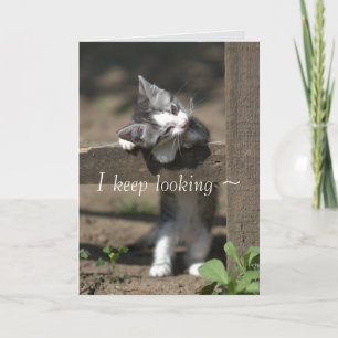 KITTY WATCH VERMISST IHNE KARTE