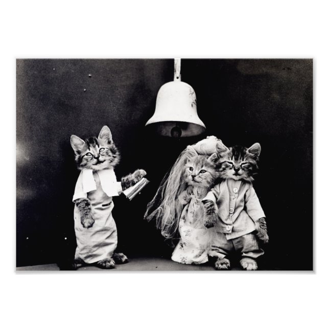 Kitty Wedding Fotodruck (Vorne)