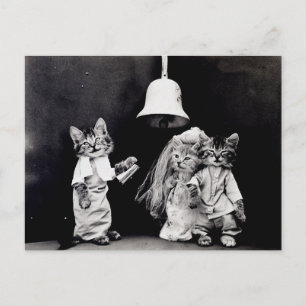 Kitty Wedding Postkarte
