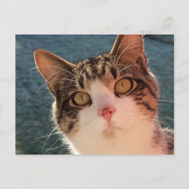 Kitup Nah Postkarte (Vorderseite)