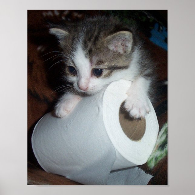 Kitypaper Poster (Vorne)