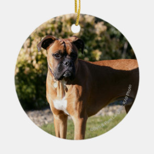 Kitz-Boxer-Hund stehend Keramikornament
