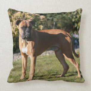Kitz-Boxer-Hund stehend Kissen