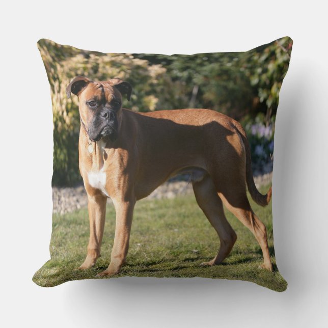 Kitz-Boxer-Hund stehend Kissen (Vorderseite)