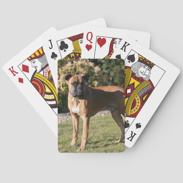 Kitz-Boxer-Hund stehend Spielkarten (Rückseite)
