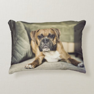 Kitz-Boxer-Welpe Dekokissen