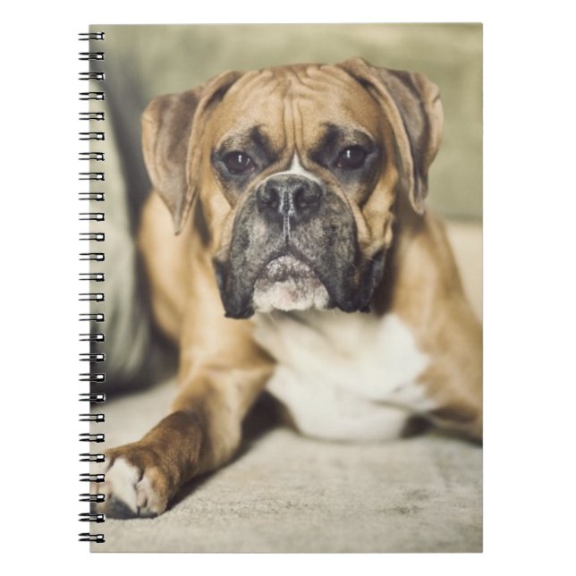 Kitz-Boxer-Welpe Notizblock (Vorderseite)
