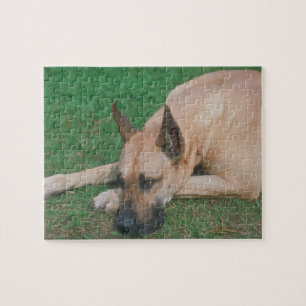 Kitz-Dogge-Hundepuzzlespiel Puzzle