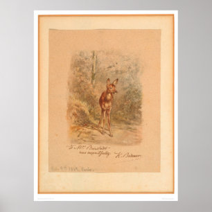 Kitz im Wald (0567A) Poster