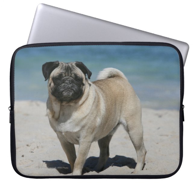 Kitz-Mops am Strand Laptopschutzhülle (Vorderseite)