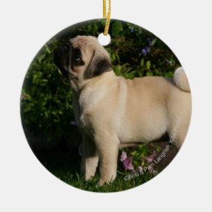 Kitz-Mops-Profil Keramik Ornament
