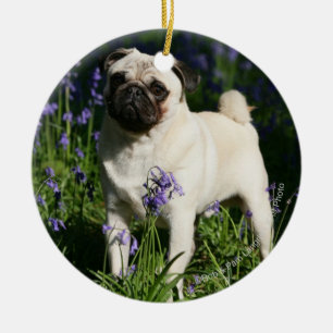Kitz-Mops stehend in den Bluebells Keramik Ornament