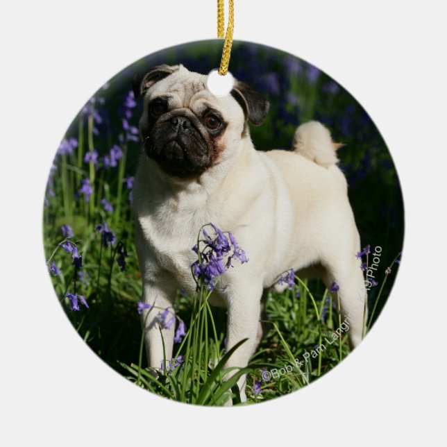 Kitz-Mops stehend in den Bluebells Keramik Ornament (Vorne)