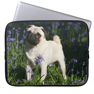 Kitz-Mops stehend in den Bluebells Laptopschutzhülle