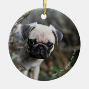 Kitz-Mops-WelpeHeadshot Keramik Ornament