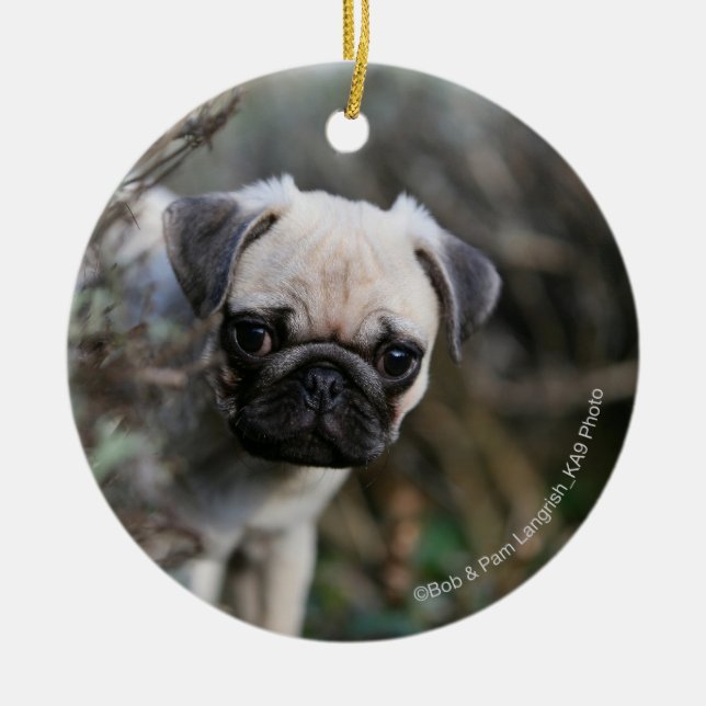 Kitz-Mops-WelpeHeadshot Keramik Ornament (Vorne)