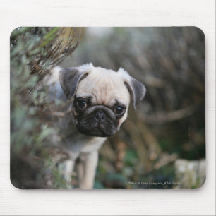 Kitz-Mops-WelpeHeadshot Mousepad