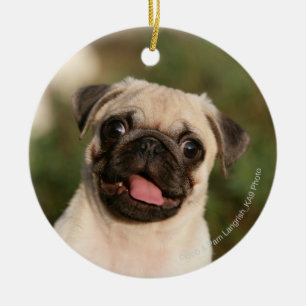 Kitz-Mops-Welpen-Keuchen Keramik Ornament