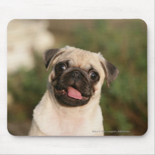 Kitz-Mops-Welpen-Keuchen Mousepad