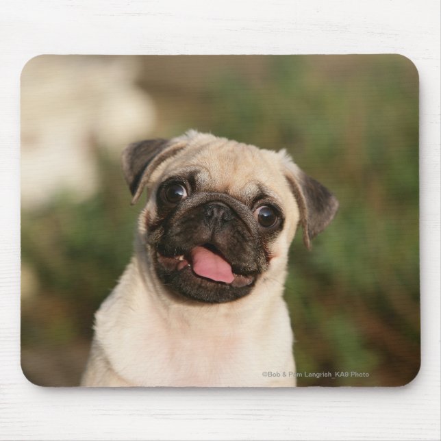 Kitz-Mops-Welpen-Keuchen Mousepad (Vorne)