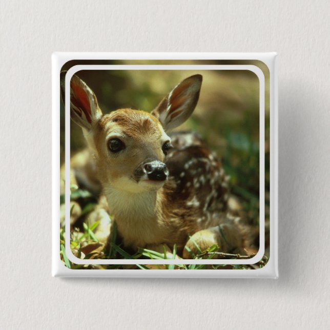 Kitz-quadratisches Button (Vorderseite)