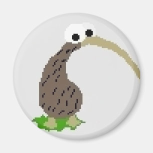 Kiwi 1 magnet