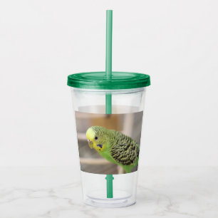 Kiwi Acryltrinkbecher