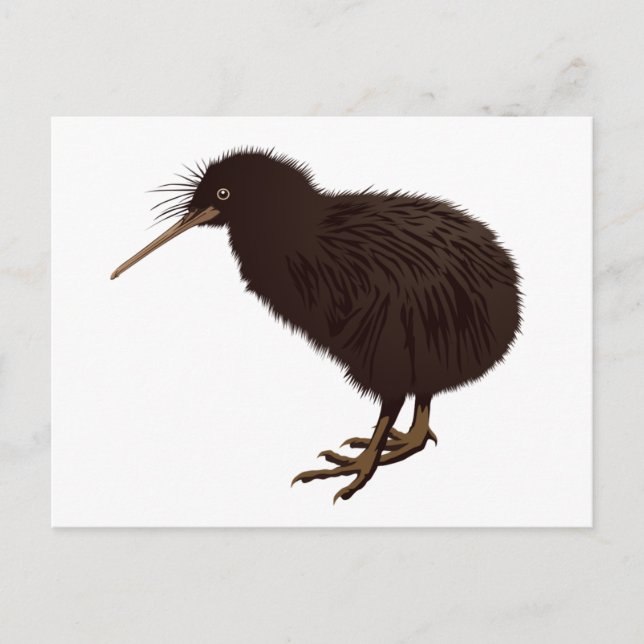 Kiwi Bird Postkarte (Vorderseite)