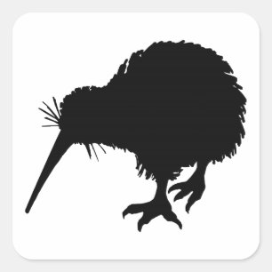 Kiwi Bird Silhouette Quadratischer Aufkleber