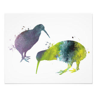 Kiwi birds fotodruck