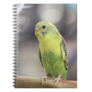 Kiwi Burbell Notizblock