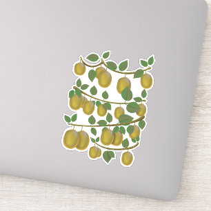 Kiwi-Frucht Aufkleber