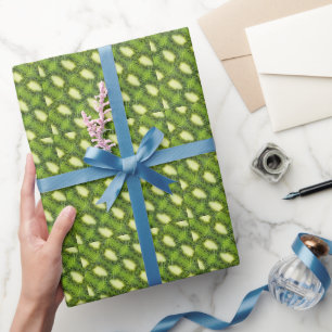 Kiwi-Fruchtmuster Geschenkpapier